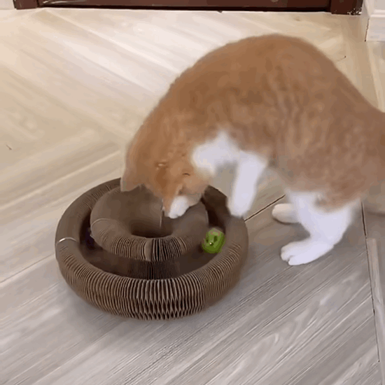 Cat Self-Play Foldable Mushroom Scratcher Tunnel Chaser Ball Toy