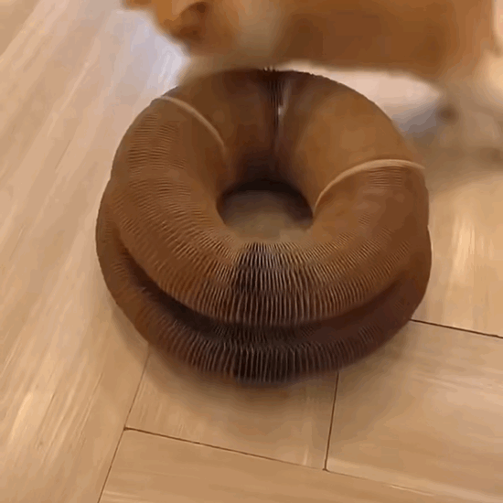 Cat Self-Play Foldable Mushroom Scratcher Tunnel Chaser Ball Toy